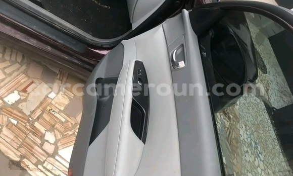 Sayi Imported Kia Optima Brown Mota in Douala a Ƙasar Kamaru Sayi Imported Kia Optima Brown Mota in Douala a Ƙasar Kamaru