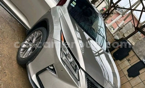 Sayi Na hannu Lexus RX 350 Sauran Mota in Douala a Ƙasar Kamaru Sayi Na hannu Lexus RX 350 Sauran Mota in Douala a Ƙasar Kamaru