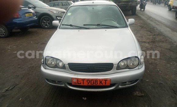 Acheter Occasion Voiture Toyota Corolla Gris à Douala, Littoral Cameroon Acheter Occasion Voiture Toyota Corolla Gris à Douala, Littoral Cameroon