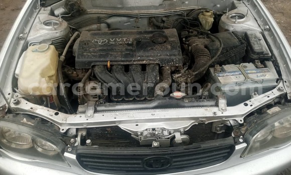 Acheter Occasion Voiture Toyota Corolla Gris à Douala, Littoral Cameroon Acheter Occasion Voiture Toyota Corolla Gris à Douala, Littoral Cameroon