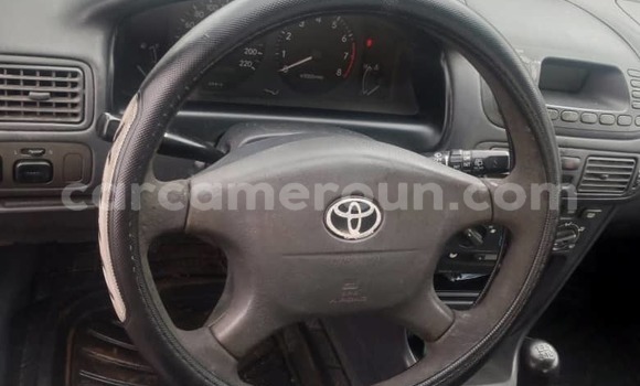Acheter Occasion Voiture Toyota Corolla Gris à Douala, Littoral Cameroon Acheter Occasion Voiture Toyota Corolla Gris à Douala, Littoral Cameroon
