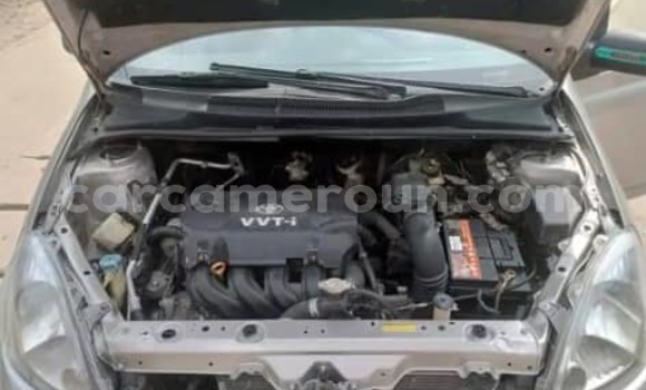 Acheter Occasion Voiture Toyota Auris Gris à Douala, Littoral Cameroon Acheter Occasion Voiture Toyota Auris Gris à Douala, Littoral Cameroon