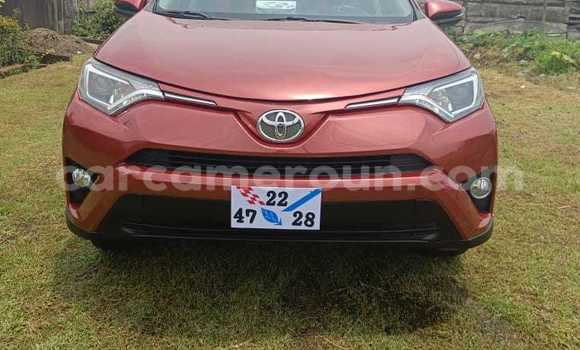 Acheter Occasion Voiture Toyota RAV4 Rouge à Douala, Littoral Cameroon Acheter Occasion Voiture Toyota RAV4 Rouge à Douala, Littoral Cameroon