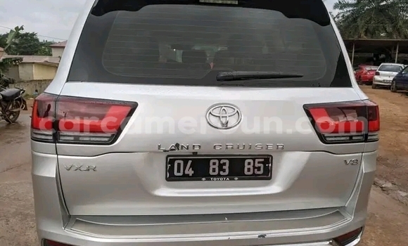 Sayi Na hannu Toyota Voxy White Mota in Bafoussam a West Kamaru