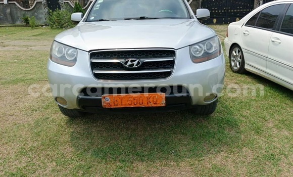 Acheter Occasion Voiture Hyundai Santa Fe Gris à Douala, Littoral Cameroon