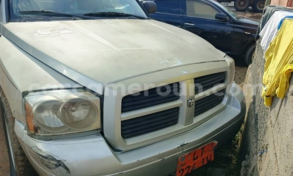 Buy Used Dodge Dakota Silver Car in Douala in Littoral Cameroon