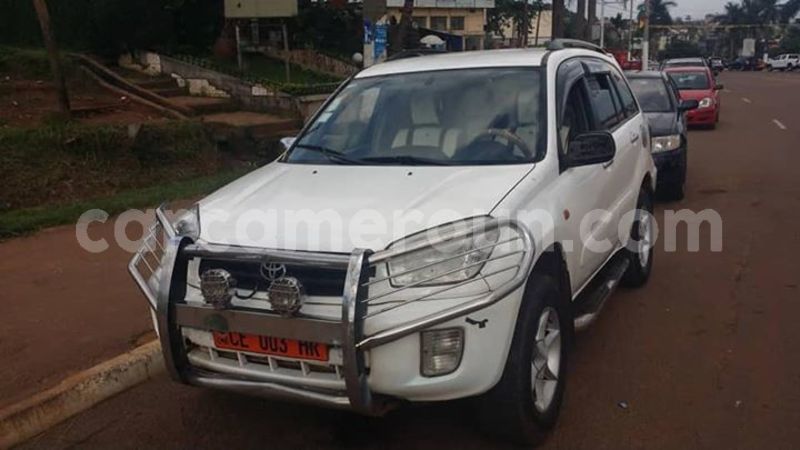 Big with watermark 45596918 1965639243514992 5101707848069414912 n