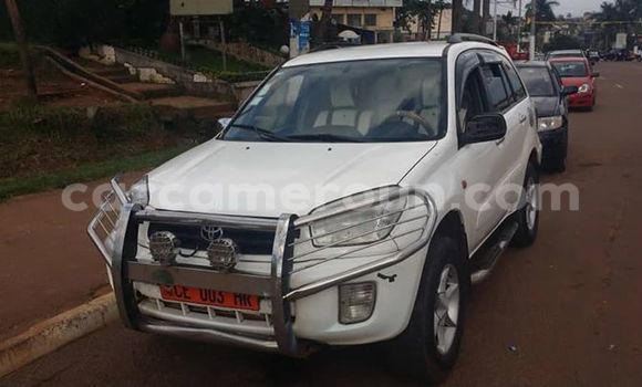 Sayi Na hannu Toyota RAV4 White Mota in Yaounde a Babban Kamaru Sayi Na hannu Toyota RAV4 White Mota in Yaounde a Babban Kamaru