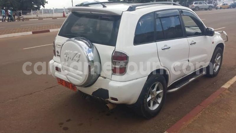 Big with watermark 45549821 1965639300181653 1445091851827675136 n