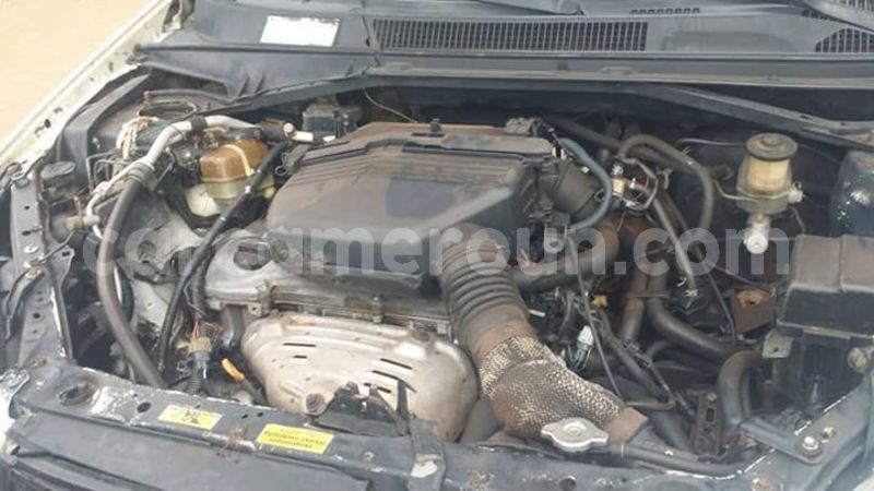 Big with watermark 45513745 1965639476848302 851914429678223360 n