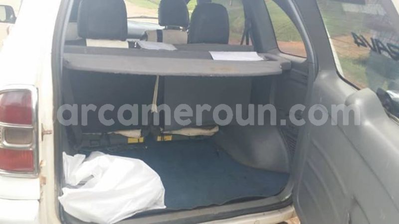 Big with watermark 45565104 1965639443514972 8028871069819469824 n