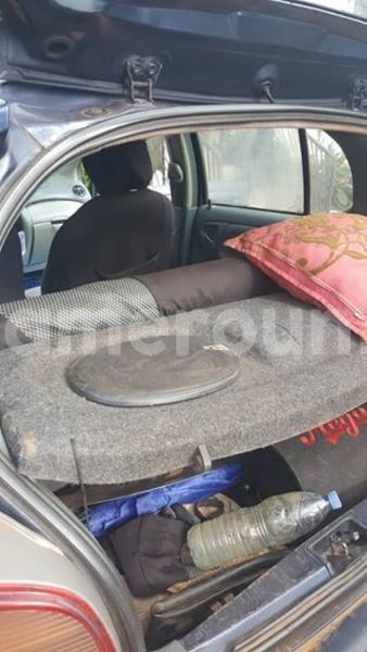 Big with watermark 45241101 180495256224807 7276611039733481472 n