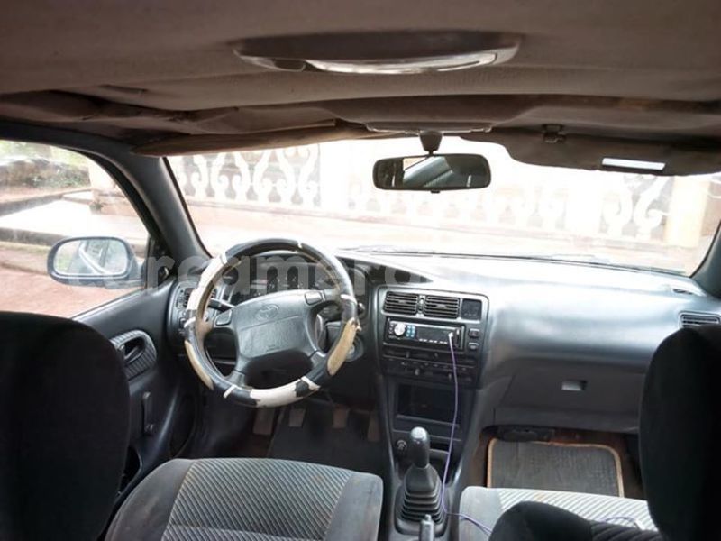 Big with watermark 45365651 2209626022653356 5614515428404494336 n