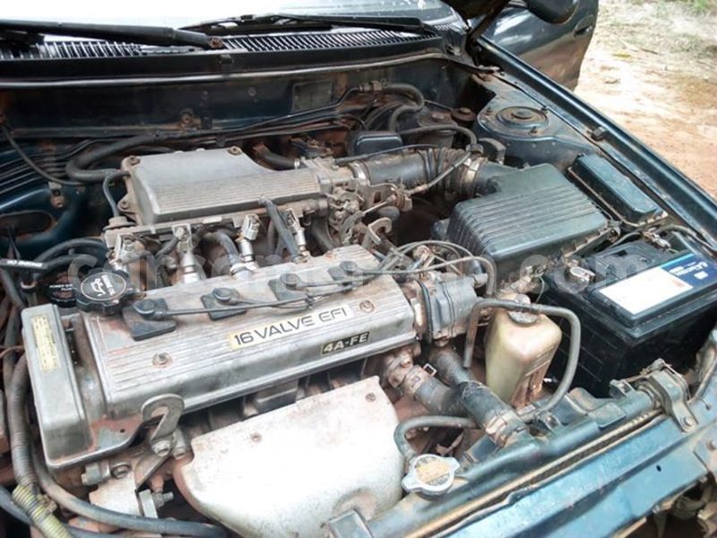 Big with watermark 45311924 2209625845986707 2362395088413261824 n