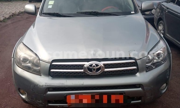 Acheter Occasion Voiture Toyota RAV4 Gris à Douala, Littoral Cameroon