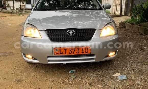 Acheter Occasion Voiture Toyota Corolla Gris à Douala, Littoral Cameroon Acheter Occasion Voiture Toyota Corolla Gris à Douala, Littoral Cameroon