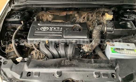 Acheter Occasion Voiture Toyota Corolla Gris à Douala, Littoral Cameroon Acheter Occasion Voiture Toyota Corolla Gris à Douala, Littoral Cameroon