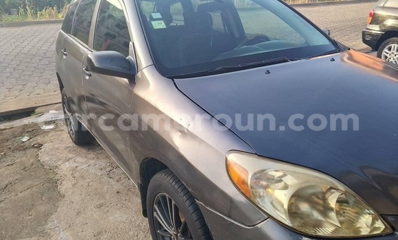 Buy Used Toyota Matrix Silver Car in Douala in Littoral Cameroon