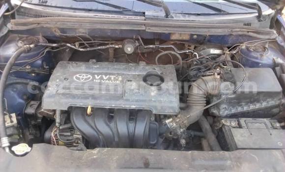 Acheter Occasion Voiture Toyota Corolla Bleu à Douala, Littoral Cameroon Acheter Occasion Voiture Toyota Corolla Bleu à Douala, Littoral Cameroon