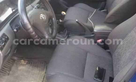Acheter Occasion Voiture Toyota Corolla Bleu à Douala, Littoral Cameroon Acheter Occasion Voiture Toyota Corolla Bleu à Douala, Littoral Cameroon