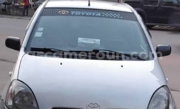 Buy Used Toyota Yaris Silver Car in Douala in Littoral Cameroon