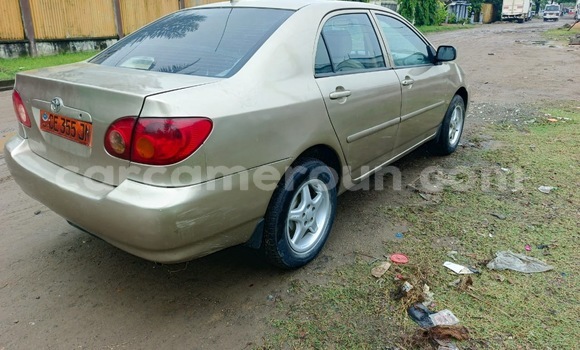 Acheter Occasion Voiture Toyota Corolla Beige à Douala, Littoral Cameroon Acheter Occasion Voiture Toyota Corolla Beige à Douala, Littoral Cameroon