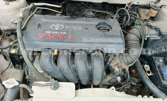 Acheter Occasion Voiture Toyota Corolla Beige à Douala, Littoral Cameroon Acheter Occasion Voiture Toyota Corolla Beige à Douala, Littoral Cameroon