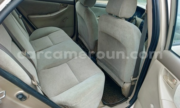 Acheter Occasion Voiture Toyota Corolla Beige à Douala, Littoral Cameroon Acheter Occasion Voiture Toyota Corolla Beige à Douala, Littoral Cameroon