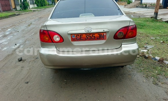 Acheter Occasion Voiture Toyota Corolla Beige à Douala, Littoral Cameroon Acheter Occasion Voiture Toyota Corolla Beige à Douala, Littoral Cameroon