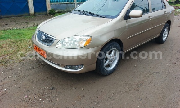 Acheter Occasion Voiture Toyota Corolla Beige à Douala, Littoral Cameroon Acheter Occasion Voiture Toyota Corolla Beige à Douala, Littoral Cameroon