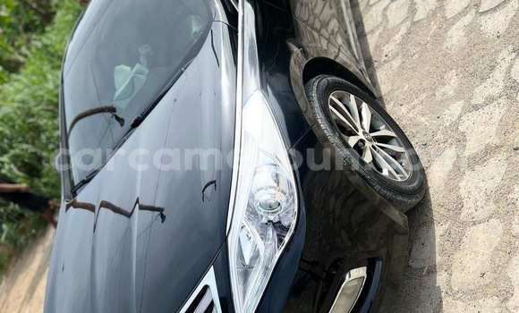 Acheter Occasion Voiture Hyundai Grandeur Noir à Douala, Littoral Cameroon