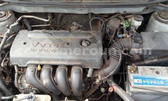 Acheter Occasion Voiture Toyota Matrix Gris à Douala, Littoral Cameroon Acheter Occasion Voiture Toyota Matrix Gris à Douala, Littoral Cameroon