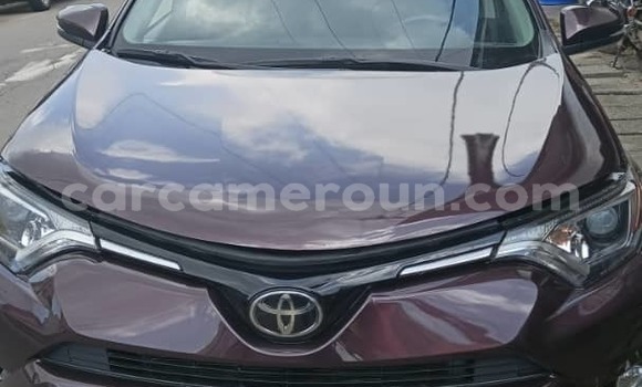 Acheter Import Voiture Toyota RAV4 Marron à Douala, Littoral Cameroon