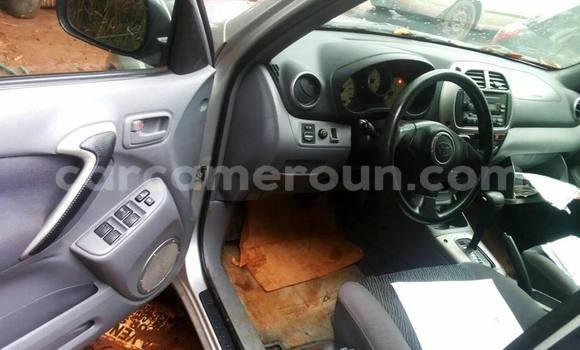 Acheter Occasion Voiture Toyota RAV4 Gris à Yaoundé, Central Cameroon Acheter Occasion Voiture Toyota RAV4 Gris à Yaoundé, Central Cameroon