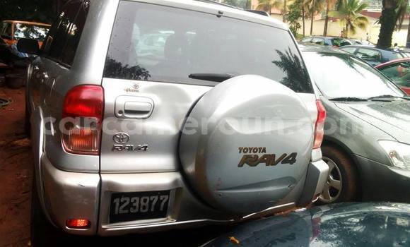 Acheter Occasion Voiture Toyota RAV4 Gris à Yaoundé, Central Cameroon Acheter Occasion Voiture Toyota RAV4 Gris à Yaoundé, Central Cameroon