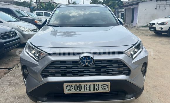 Acheter Import Voiture Toyota RAV4 Gris à Douala, Littoral Cameroon