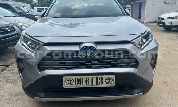 Sayi Imported Toyota RAV4 Azurfa Mota in Douala a Ƙasar Kamaru Sayi Imported Toyota RAV4 Azurfa Mota in Douala a Ƙasar Kamaru