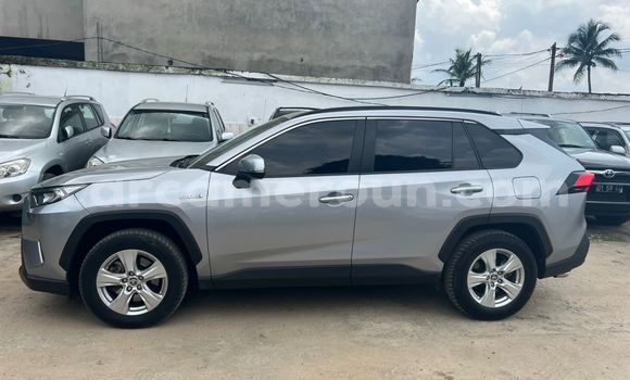 Sayi Imported Toyota RAV4 Azurfa Mota in Douala a Ƙasar Kamaru Sayi Imported Toyota RAV4 Azurfa Mota in Douala a Ƙasar Kamaru