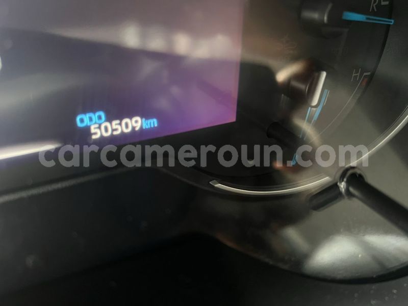 Big with watermark toyota rav4 littoral cameroon douala 20050