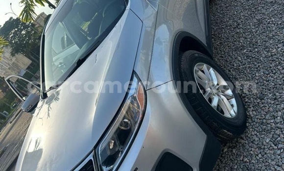 Acheter Import Voiture Kia Sorento Gris à Douala, Littoral Cameroon