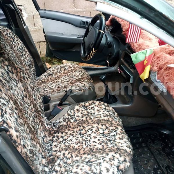 Big with watermark 43880256 157845481824638 895143421541351424 o