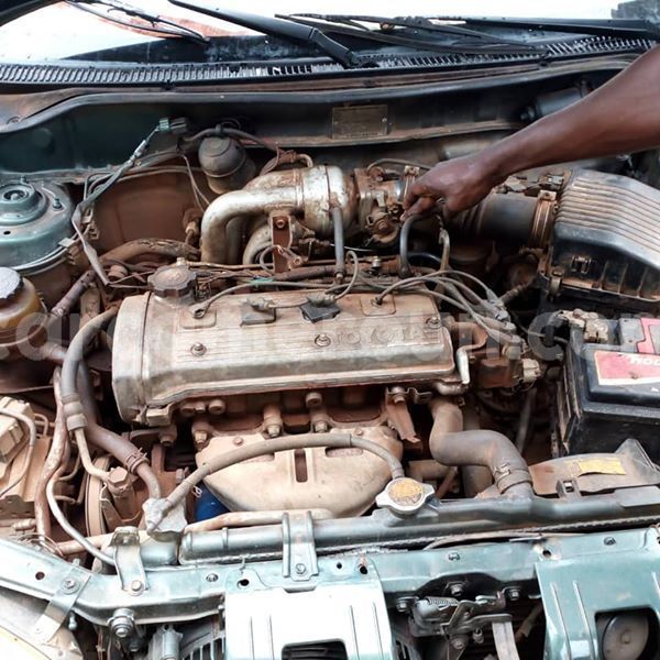 Big with watermark 43952242 157845575157962 4335428086951575552 o