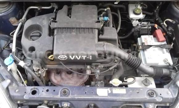 Acheter Import Voiture Toyota Yaris Gris à Yaoundé, Central Cameroon Acheter Import Voiture Toyota Yaris Gris à Yaoundé, Central Cameroon