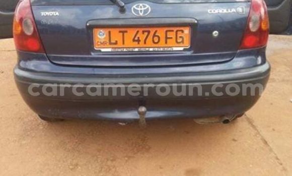 Sayi Imported Toyota Corolla Sauran Mota in Yaounde a Babban Kamaru Sayi Imported Toyota Corolla Sauran Mota in Yaounde a Babban Kamaru