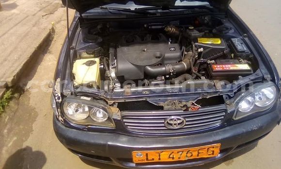 Sayi Imported Toyota Corolla Sauran Mota in Yaounde a Babban Kamaru Sayi Imported Toyota Corolla Sauran Mota in Yaounde a Babban Kamaru
