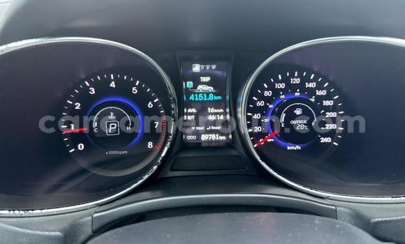 Acheter Import Voiture Hyundai Santa Fe Gris à Douala, Littoral Cameroon Acheter Import Voiture Hyundai Santa Fe Gris à Douala, Littoral Cameroon