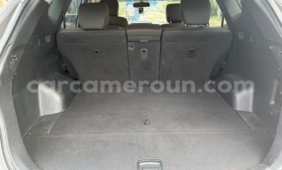 Acheter Import Voiture Hyundai Santa Fe Gris à Douala, Littoral Cameroon Acheter Import Voiture Hyundai Santa Fe Gris à Douala, Littoral Cameroon