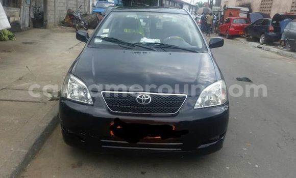 Acheter Import Voiture Toyota Corolla Noir à Douala, Littoral Cameroon Acheter Import Voiture Toyota Corolla Noir à Douala, Littoral Cameroon