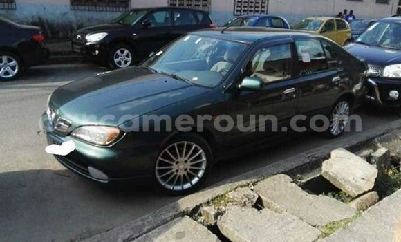 Acheter Import Voiture Nissan Sunny Vert à Douala, Littoral Cameroon