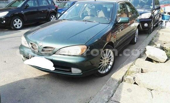 Acheter Import Voiture Nissan Sunny Vert à Douala, Littoral Cameroon Acheter Import Voiture Nissan Sunny Vert à Douala, Littoral Cameroon